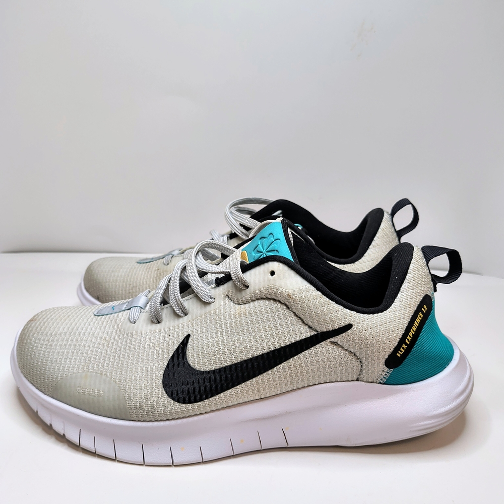 Nike Flex Experience Run 12 Light Bone/Black-Teal